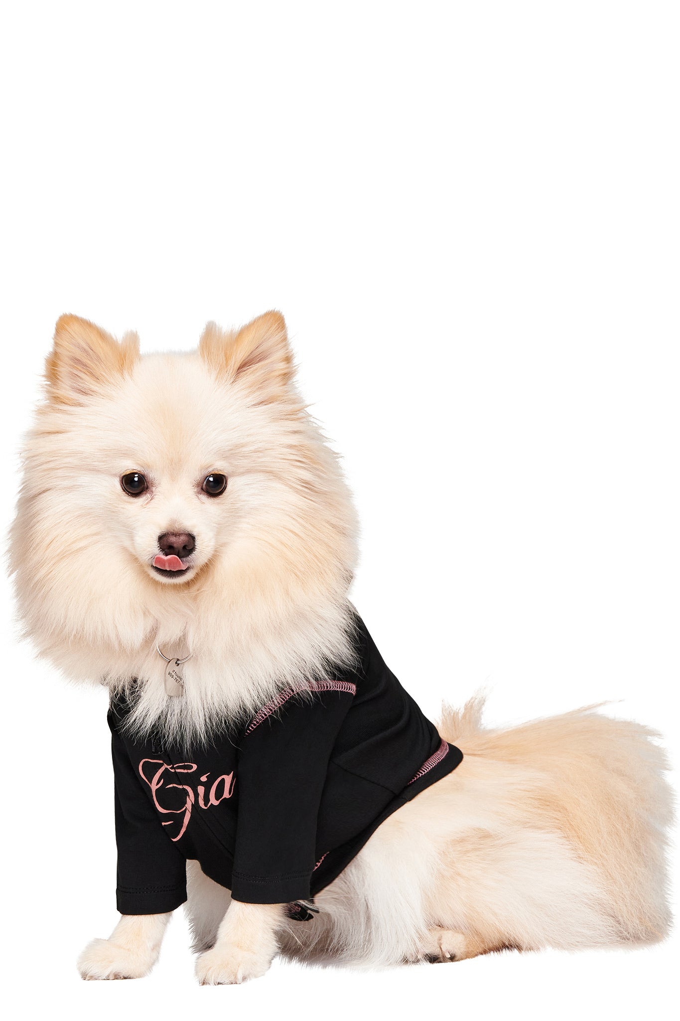 A fluffy, light-colored Pomeranian faces forward wearing the I.AM.GIA BLARE BEST FRIEND DOG HOODIE in black, featuring pink stitching and lettering. Its perked ears and curled tail show off a trendy matching pet outfit look.